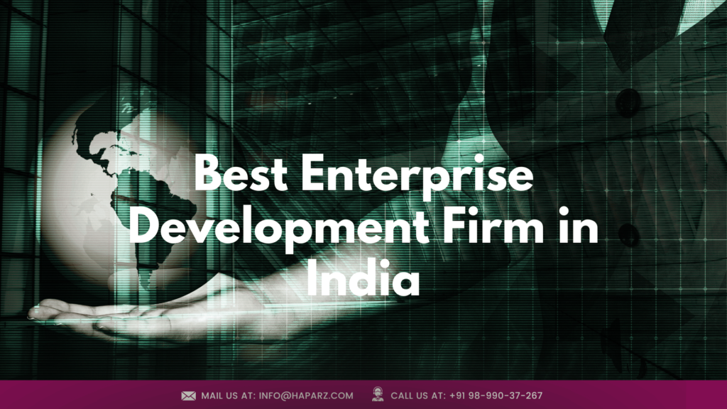 Enterprise Development Firm