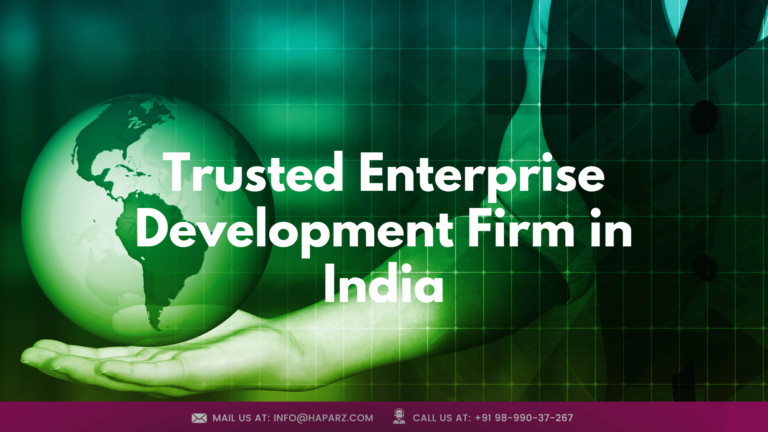 Enterprise Development Firm